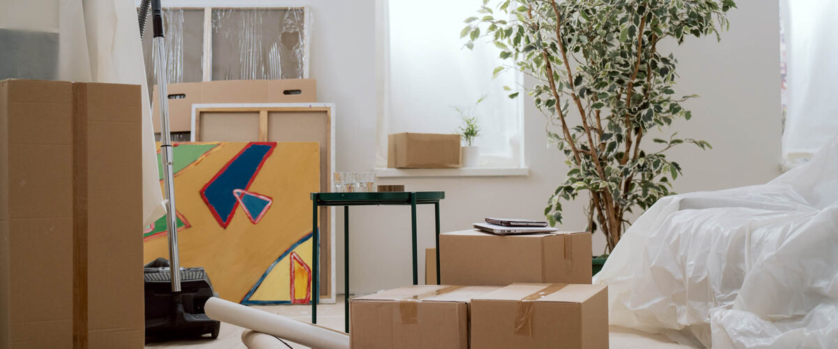 A room during moving with bay area boxes and an indoor plant.